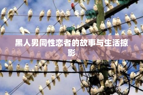 黑人男同性恋者的故事与生活掠影