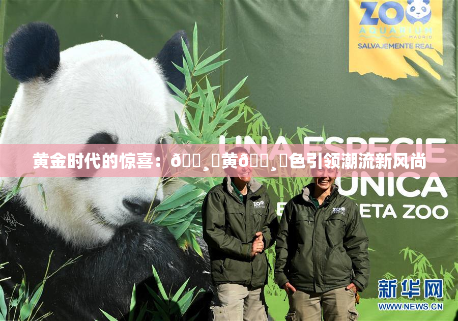 黄金时代的惊喜：🌸‌黄🌸‌色引领潮流新风尚