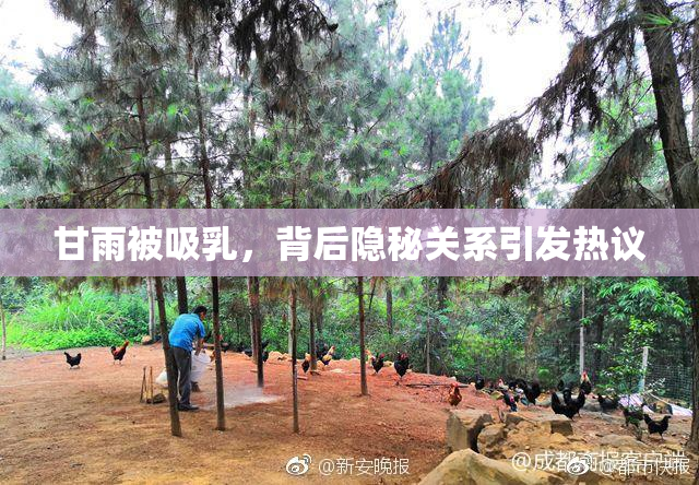 甘雨被吸乳，背后隐秘关系引发热议