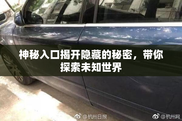 神秘入口揭开隐藏的秘密，带你探索未知世界