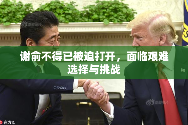 谢俞不得已被迫打开，面临艰难选择与挑战
