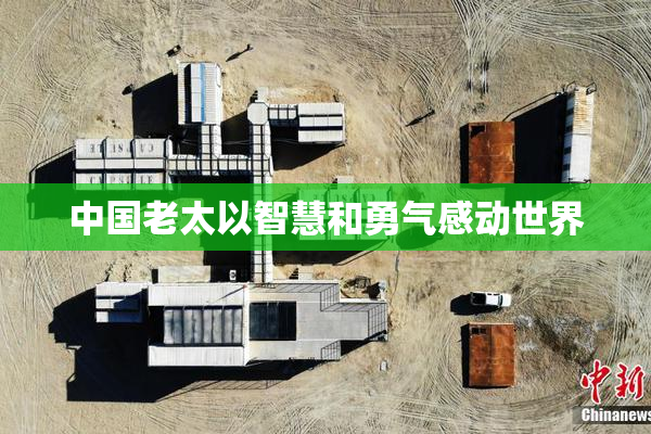 中国老太以智慧和勇气感动世界