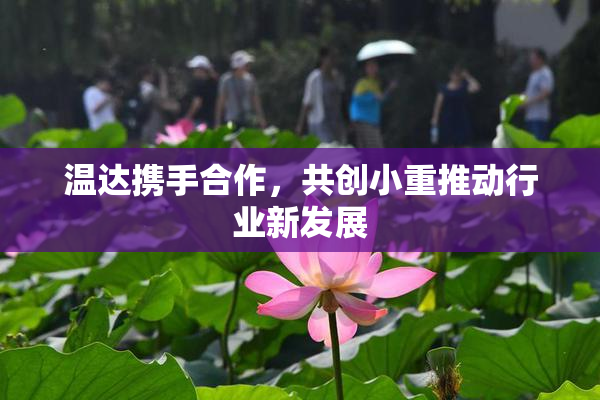 温达携手合作，共创小重推动行业新发展