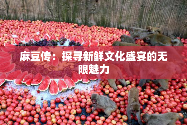 麻豆传：探寻新鲜文化盛宴的无限魅力