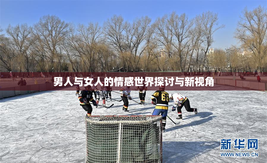 男人与女人的情感世界探讨与新视角