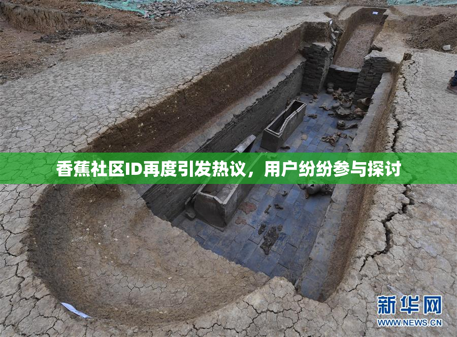 香蕉社区ID再度引发热议，用户纷纷参与探讨