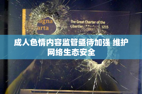 成人色情内容监管亟待加强 维护网络生态安全
