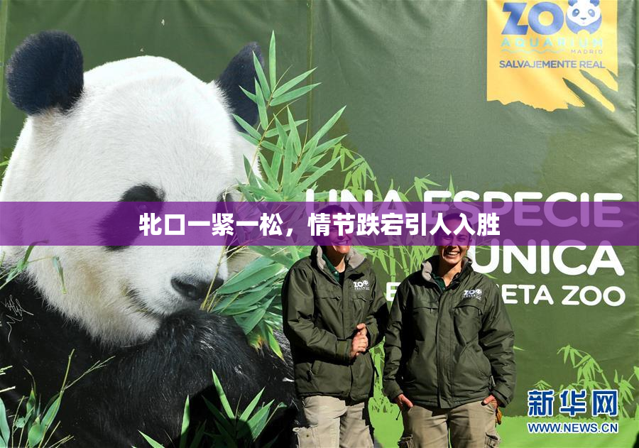 牝口一紧一松，情节跌宕引人入胜