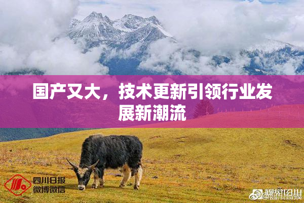 国产又大，技术更新引领行业发展新潮流