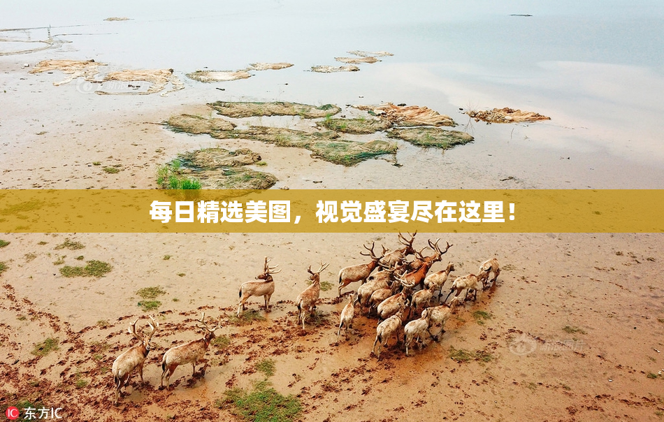 每日精选美图，视觉盛宴尽在这里！