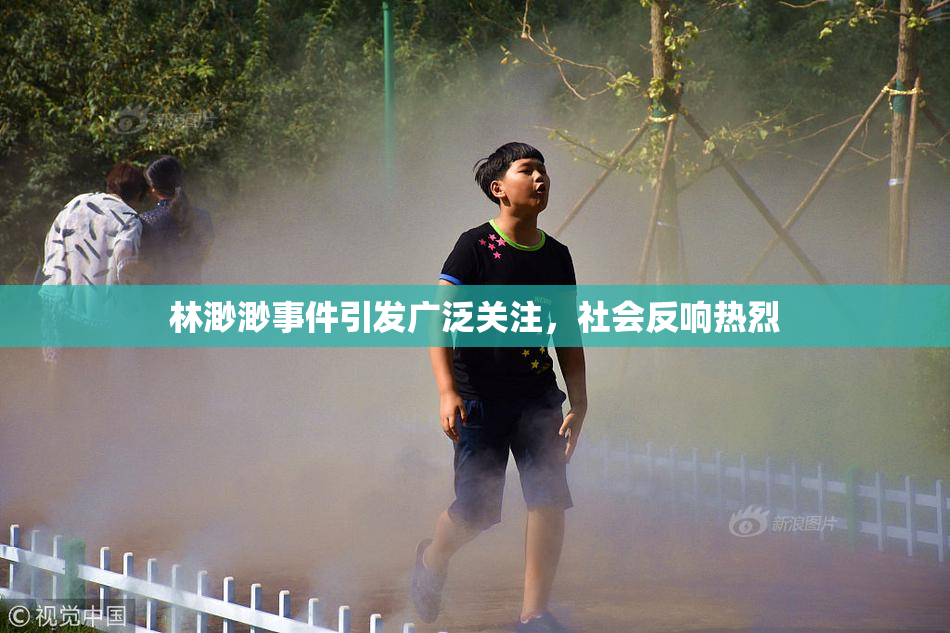 林渺渺事件引发广泛关注，社会反响热烈