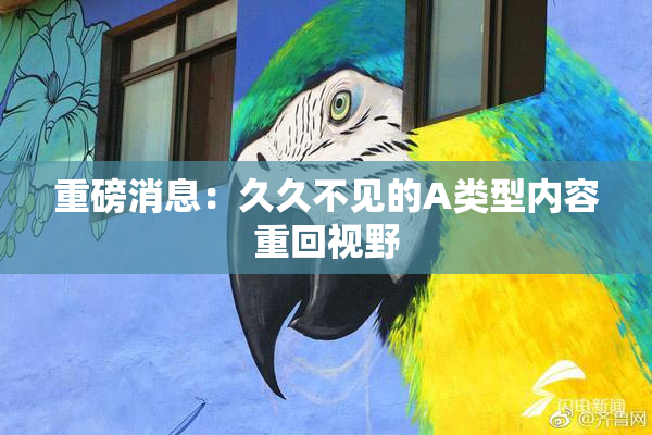 重磅消息：久久不见的A类型内容重回视野