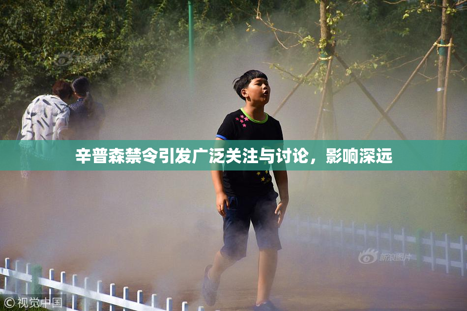 辛普森禁令引发广泛关注与讨论，影响深远