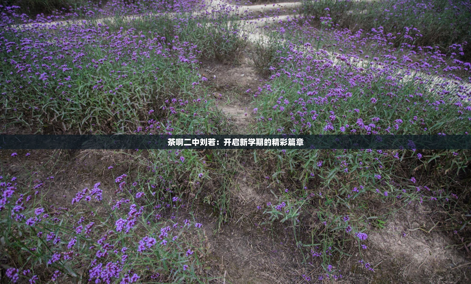 茶啊二中刘若：开启新学期的精彩篇章