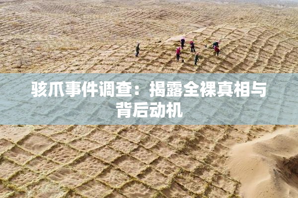 骇爪事件调查：揭露全裸真相与背后动机