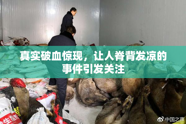 真实破血惊现，让人脊背发凉的事件引发关注