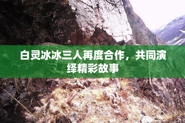 白灵冰冰三人再度合作，共同演绎精彩故事