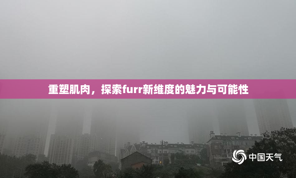 重塑肌肉，探索furr新维度的魅力与可能性