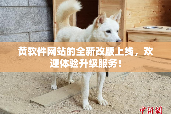 黄软件网站的全新改版上线，欢迎体验升级服务！