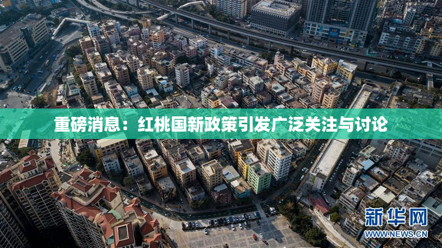 重磅消息：红桃国新政策引发广泛关注与讨论