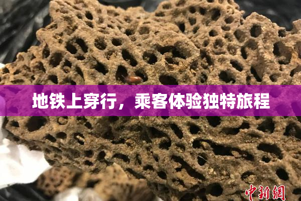 地铁上穿行，乘客体验独特旅程