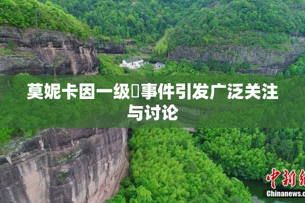 莫妮卡因一级婬事件引发广泛关注与讨论