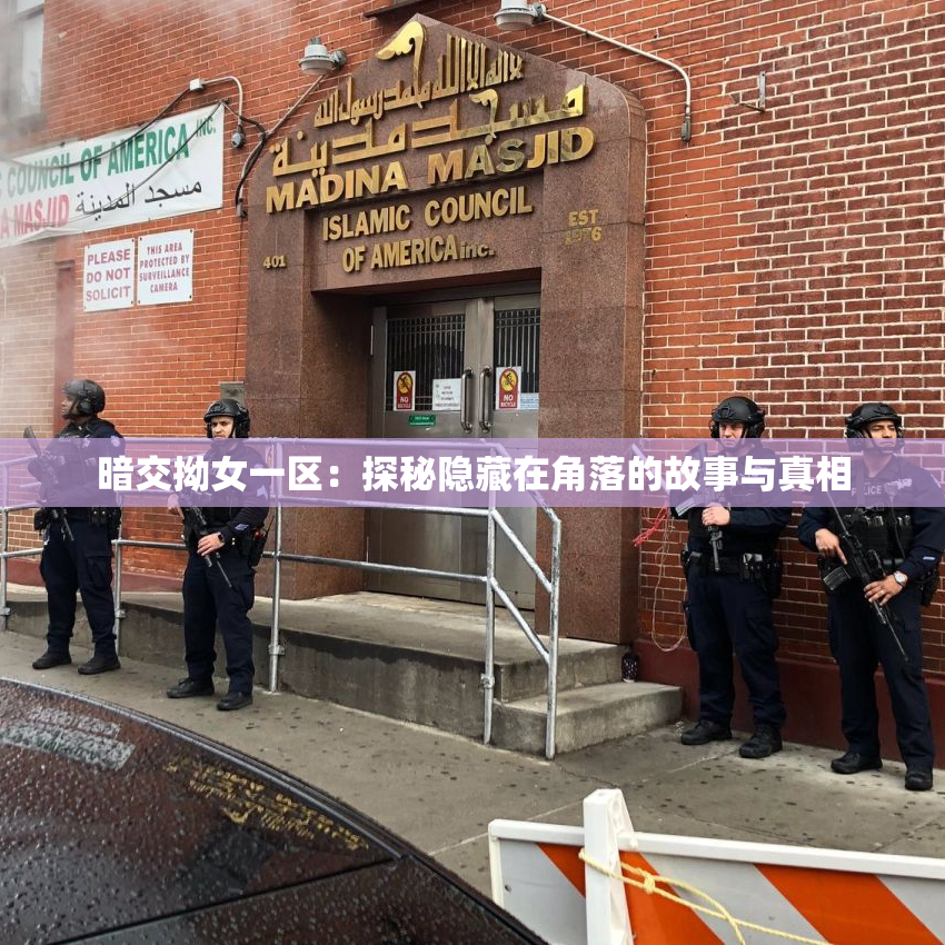 暗交拗女一区：探秘隐藏在角落的故事与真相