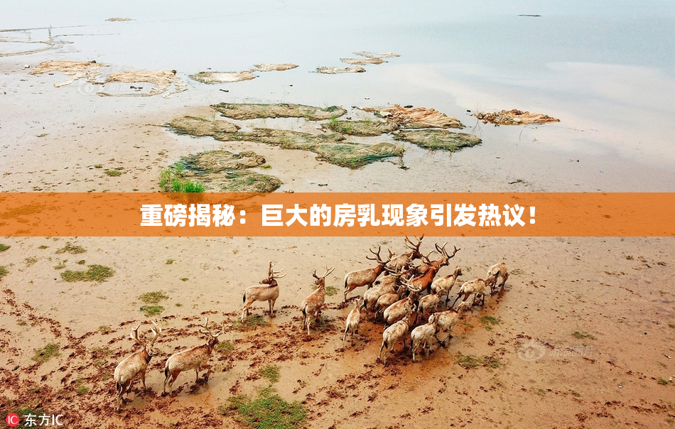 重磅揭秘：巨大的房乳现象引发热议！