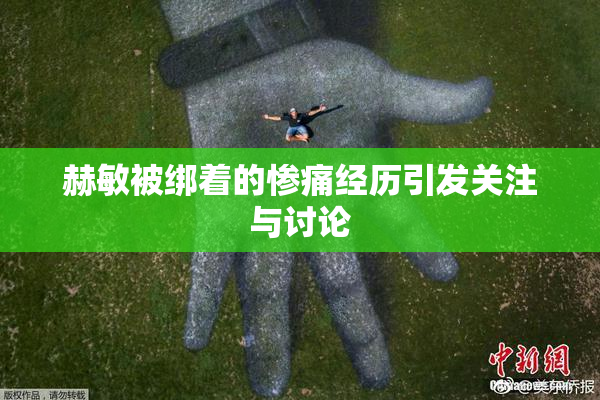 赫敏被绑着的惨痛经历引发关注与讨论