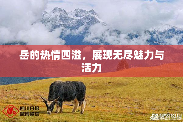 岳的热情四溢，展现无尽魅力与活力