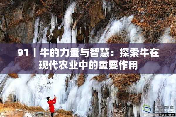 91丨牛的力量与智慧：探索牛在现代农业中的重要作用