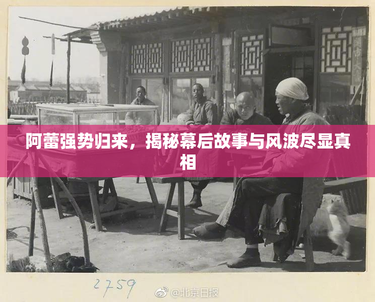 阿蕾强势归来，揭秘幕后故事与风波尽显真相