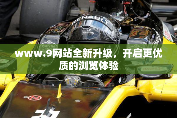 www.9网站全新升级，开启更优质的浏览体验
