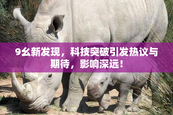 9幺新发现，科技突破引发热议与期待，影响深远！