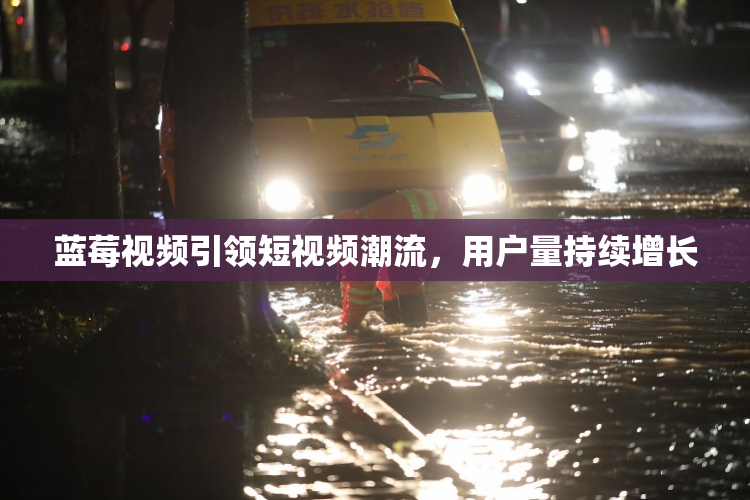 蓝莓视频引领短视频潮流，用户量持续增长