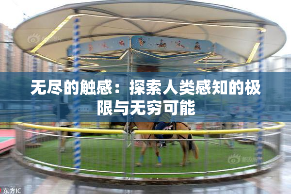 无尽的触感：探索人类感知的极限与无穷可能