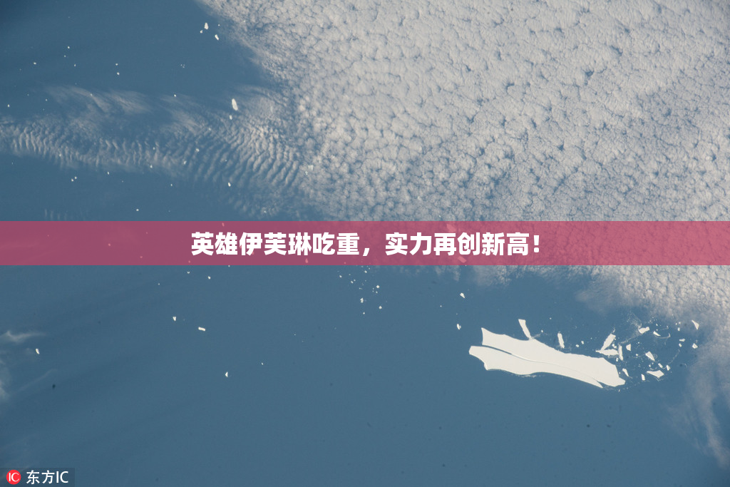 英雄伊芙琳吃重，实力再创新高！