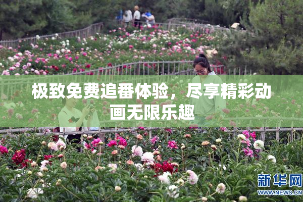 极致免费追番体验，尽享精彩动画无限乐趣