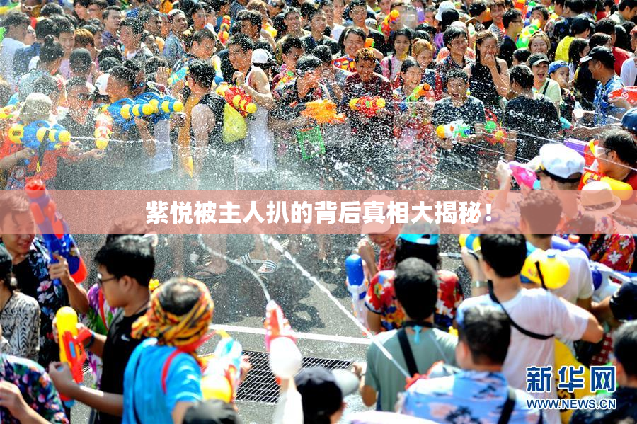 紫悦被主人扒的背后真相大揭秘！