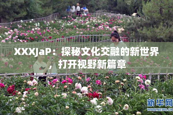 XXXJaP：探秘文化交融的新世界，打开视野新篇章