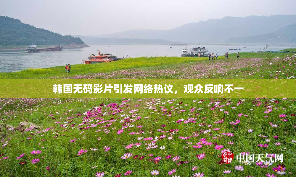 韩国无码影片引发网络热议，观众反响不一