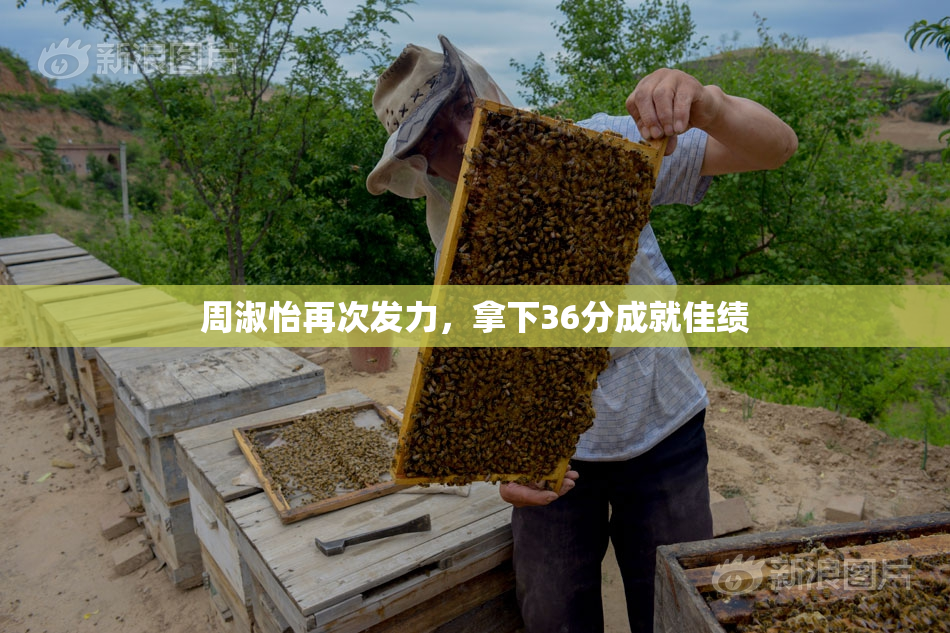 周淑怡再次发力，拿下36分成就佳绩