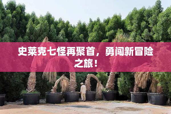 史莱克七怪再聚首，勇闯新冒险之旅！