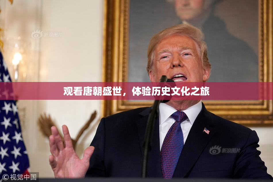 观看唐朝盛世，体验历史文化之旅