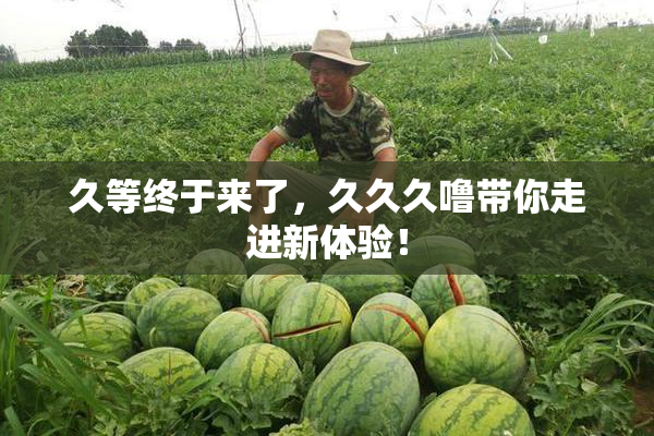 久等终于来了，久久久噜带你走进新体验！