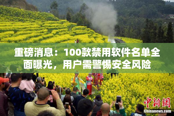 重磅消息：100款禁用软件名单全面曝光，用户需警惕安全风险