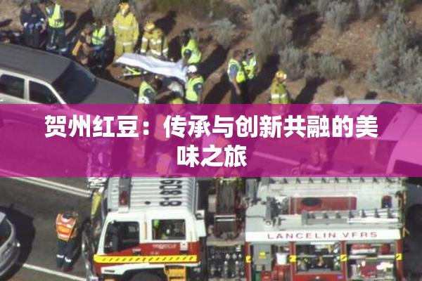 贺州红豆：传承与创新共融的美味之旅