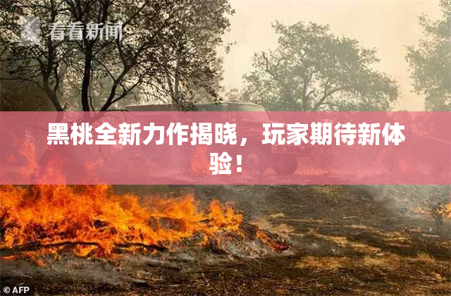 黑桃全新力作揭晓，玩家期待新体验！