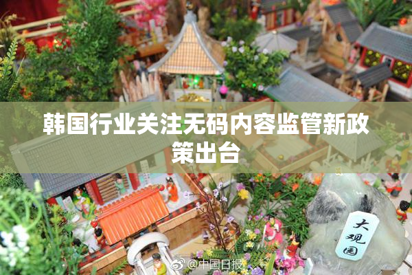 韩国行业关注无码内容监管新政策出台