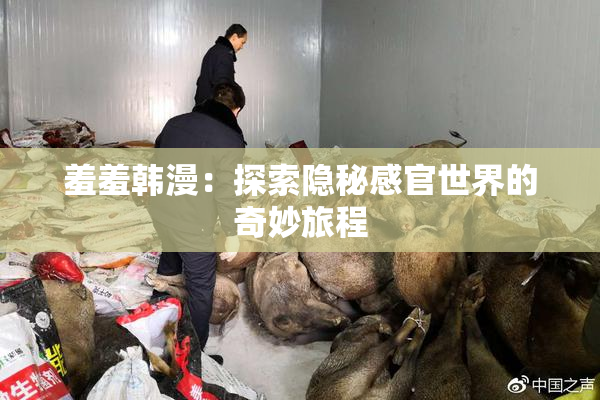 羞羞韩漫：探索隐秘感官世界的奇妙旅程